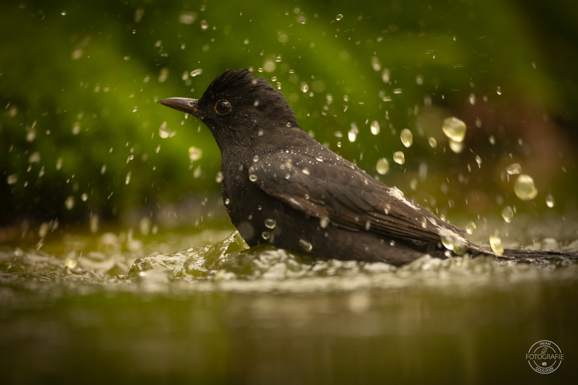 23 oktober 2022 123751 1R2A0085